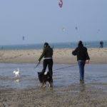 honden op het strand Vrouwenpolder -chalet zeeland